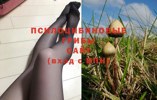 дмт Алзамай