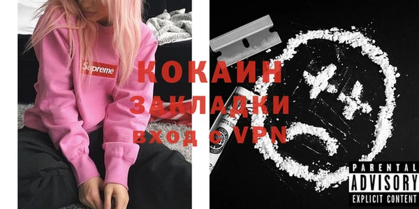 крисы Абаза