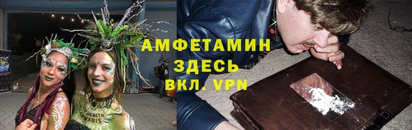 дмт Алзамай